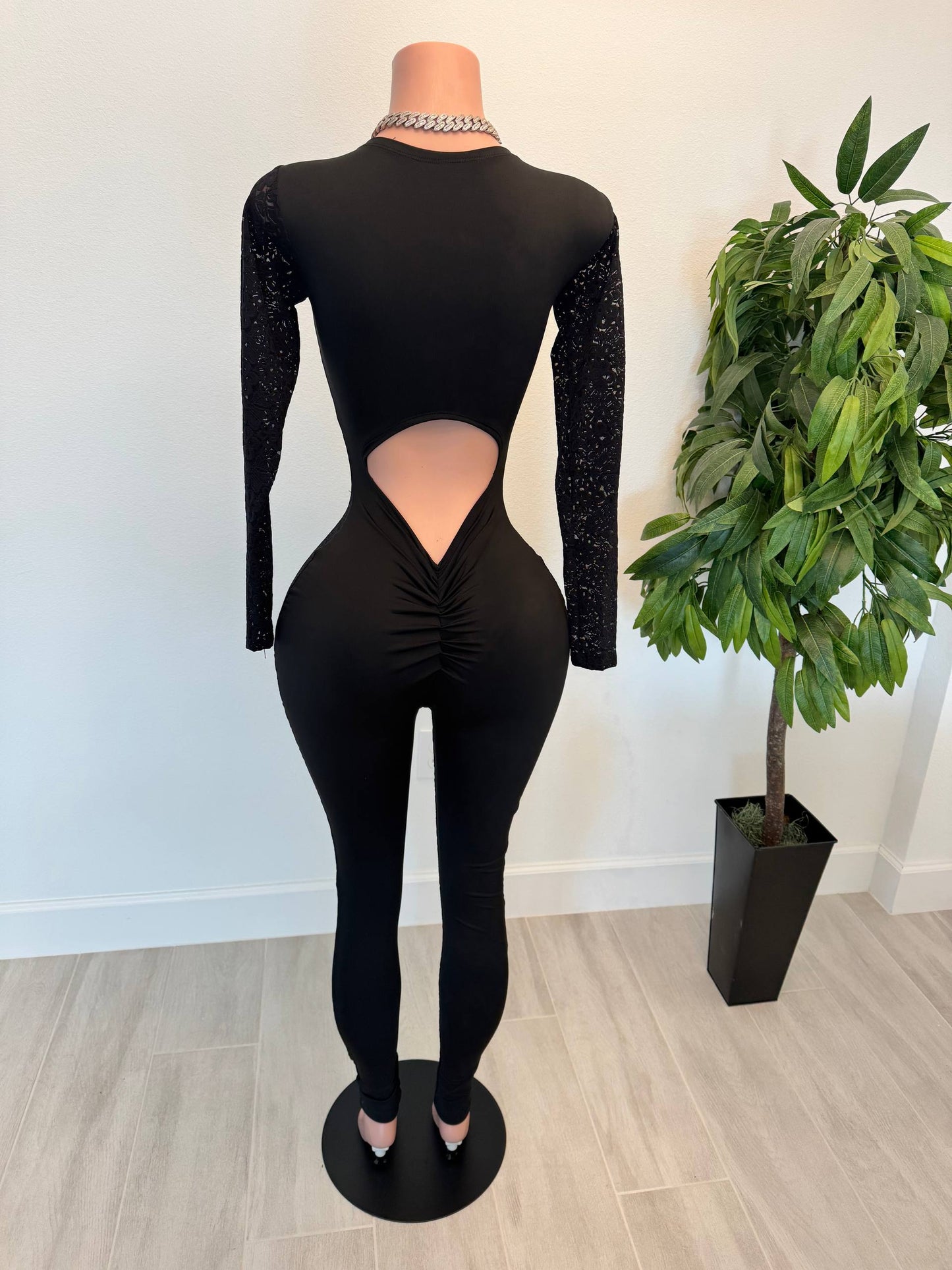 Diva Vision Sheer Jumpsuit