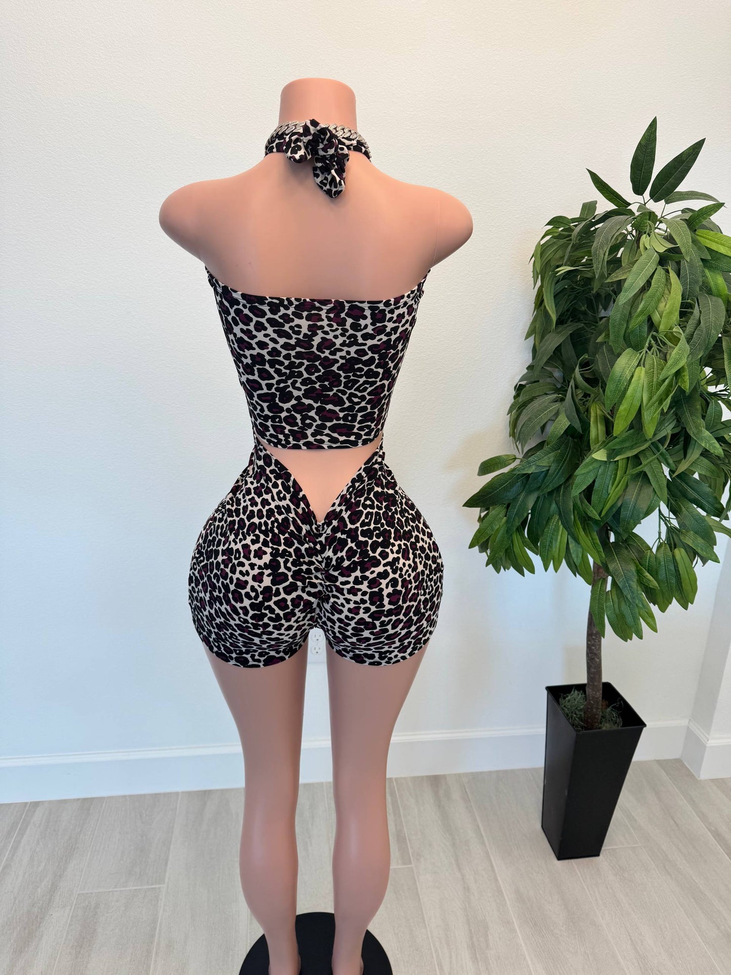 Wild Diva Cutout Leopard Set