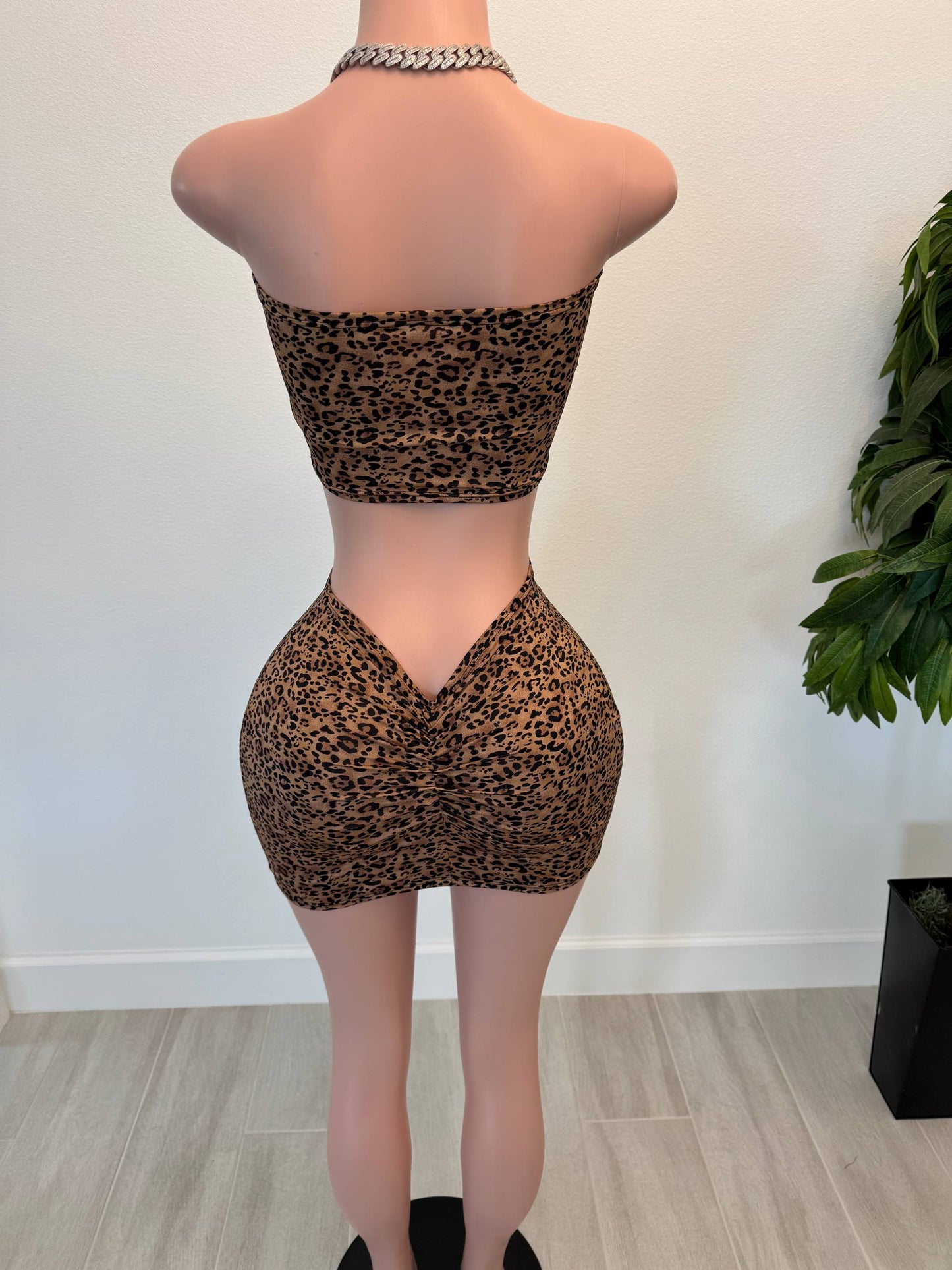 Wild Diva Leopard Skirt Set