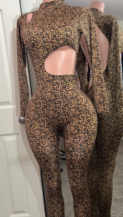 Long Sleeve Jumpsuit