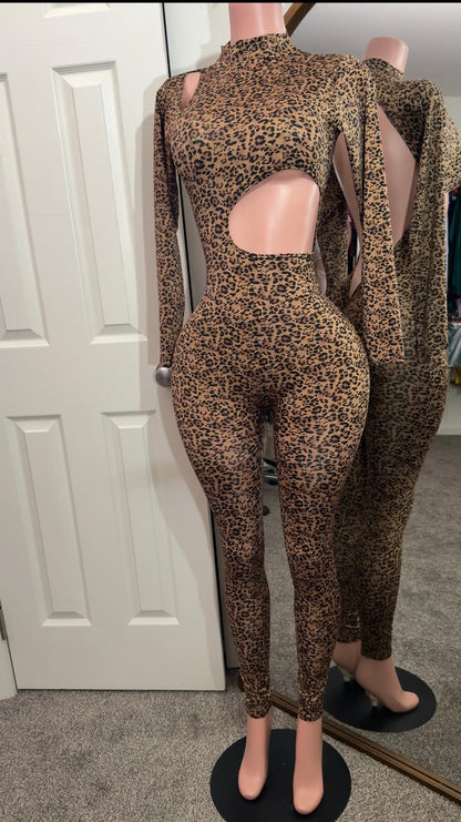 Long Sleeve Jumpsuit