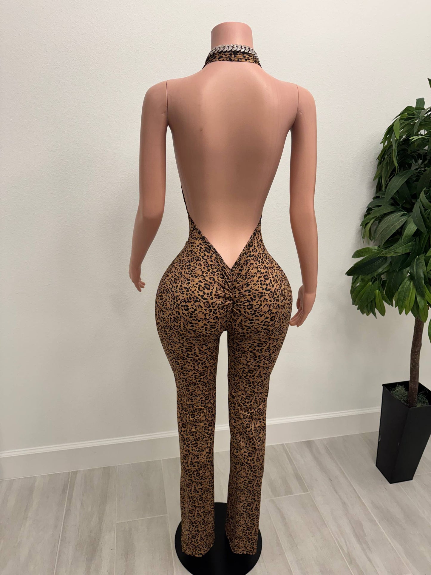 Wild Attraction Leopard Plunge Jumpsuit